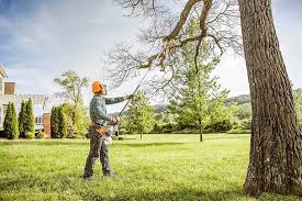 Best Root Management and Removal  in Red Hill, SC